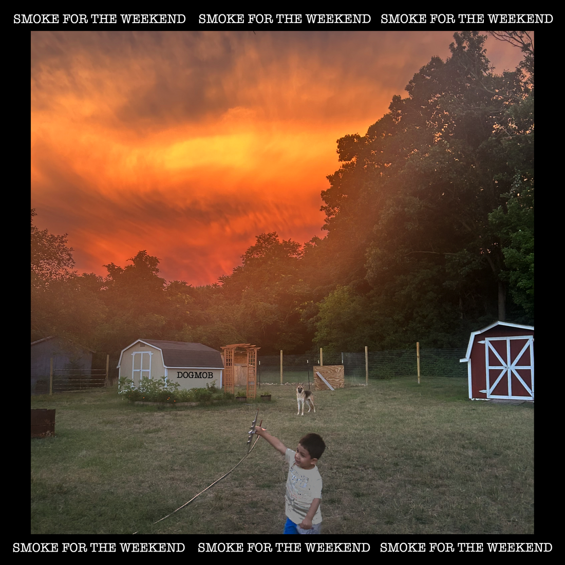 Dogmob Album Release!