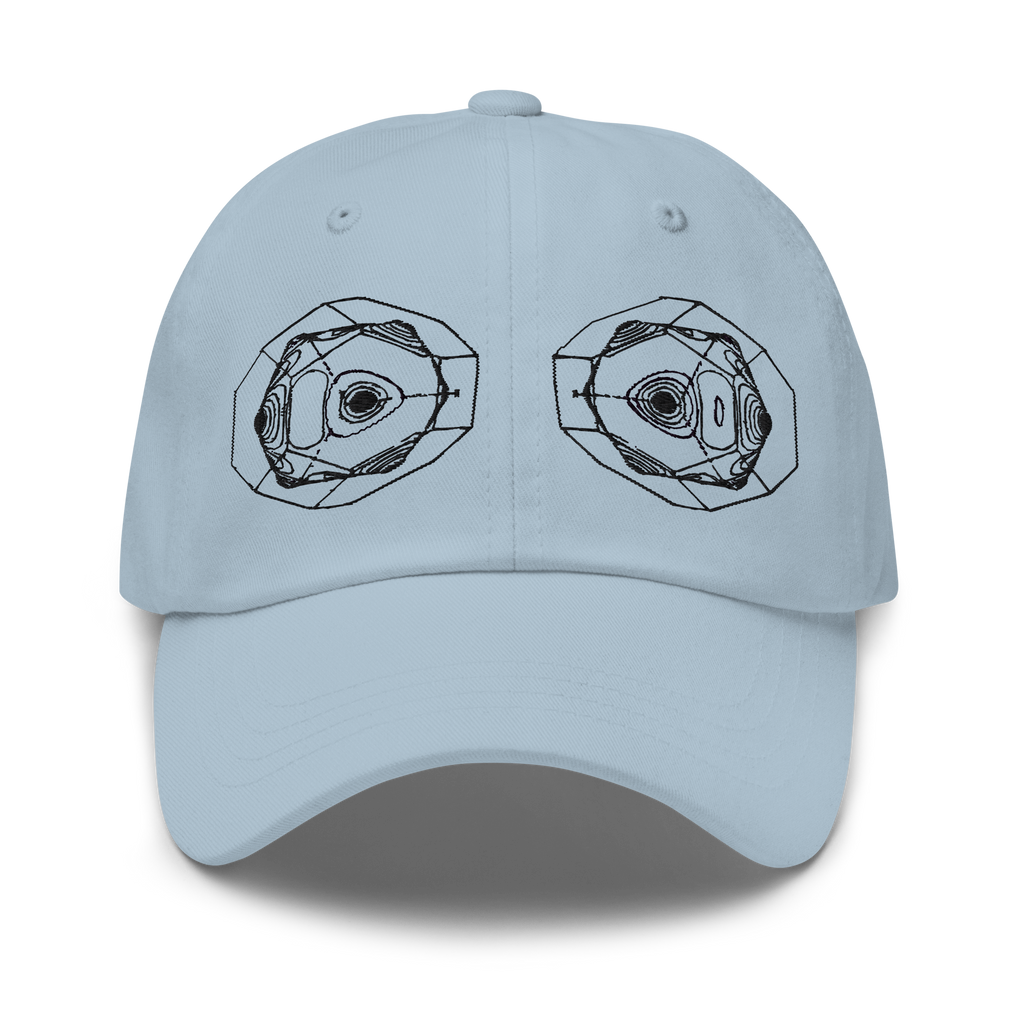 SFTW Dad Hat