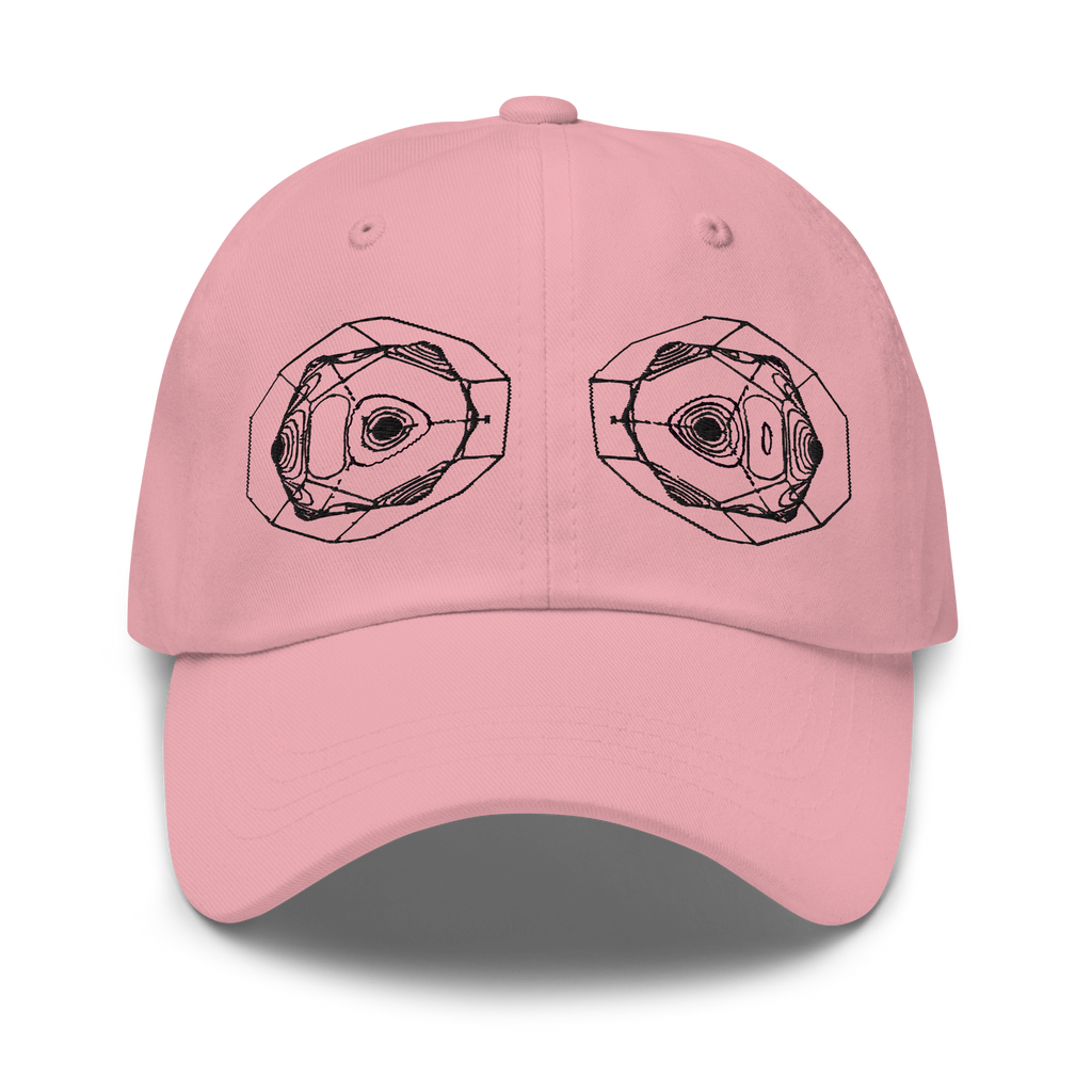 SFTW Dad Hat