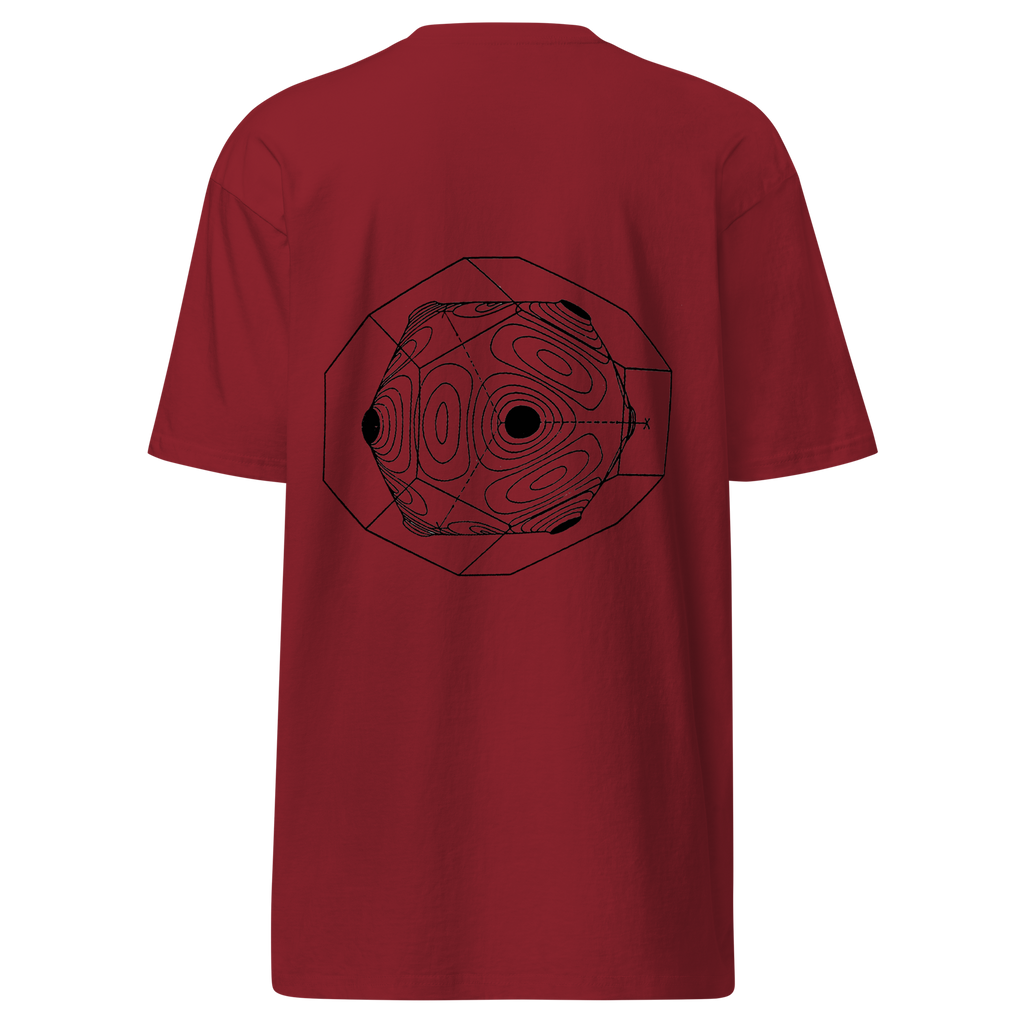 SFTW Heavy Tee