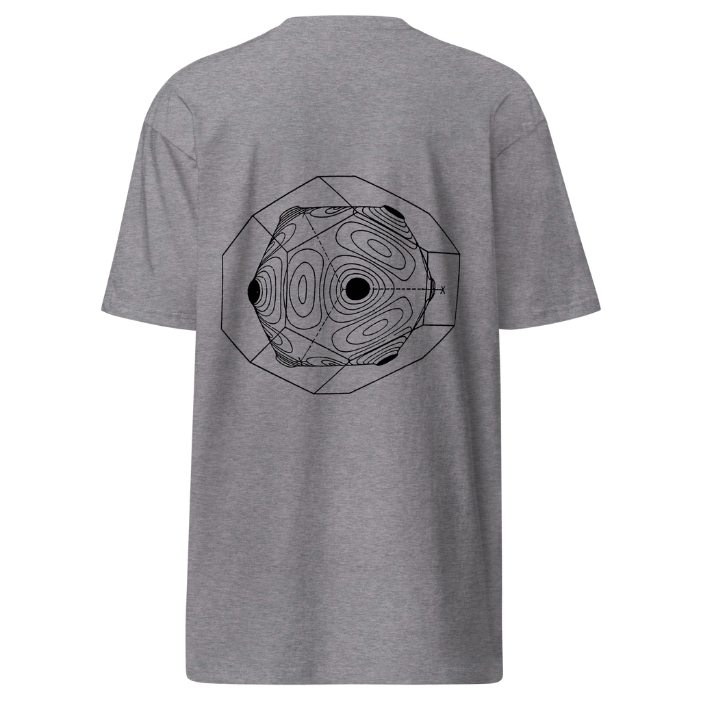 SFTW Heavy Tee