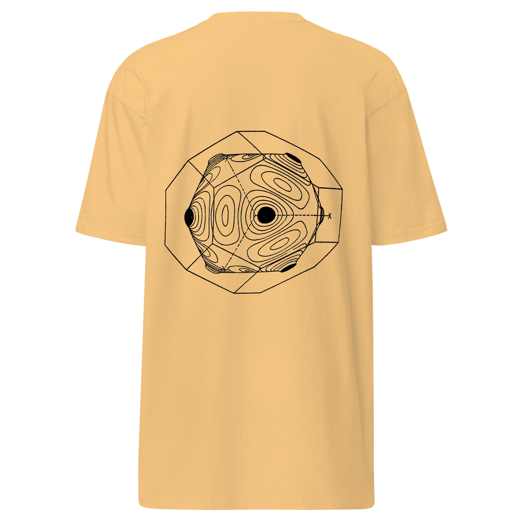 SFTW Heavy Tee