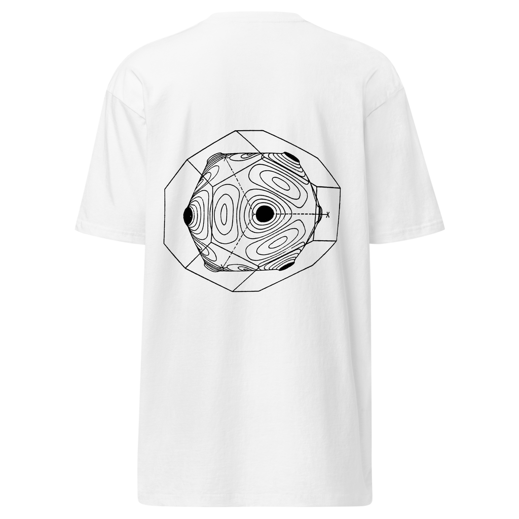 SFTW Heavy Tee